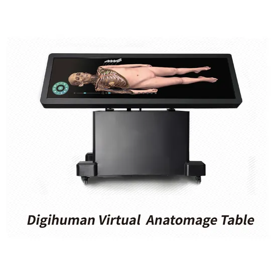 Virtual Dissection Table a First for Plymouth Medical and Dental Schools Anatomy Table Model Medical 