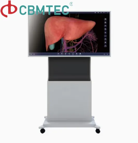 Virtual Anatomy Dissection Table for School 3D Body Virtual Autopsy Table 