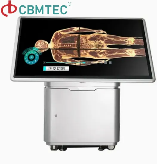 Good Price Anatomy New for School Digital Human Body System Education 