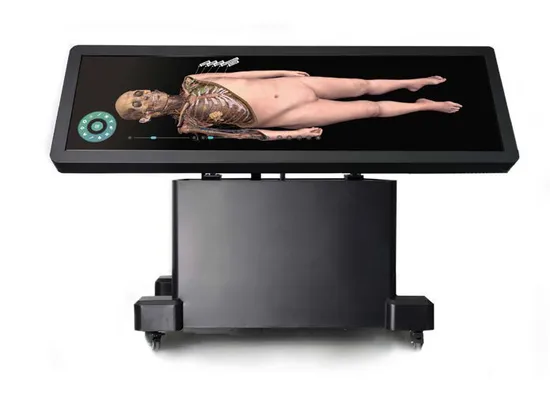 New University Projects Digital Human Anatomy System 3D Body HD Digihuman Virtual Table 