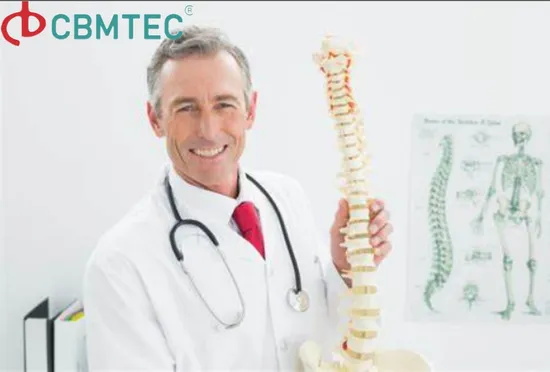 with Ligament Human Anatomy Skeleton 3D Model 